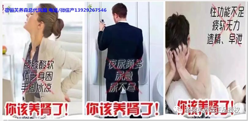 养森活力强盛养森养肾包原理功效作用 蓓俪芙养森正品授权 微信公众号文章阅读 Wemp