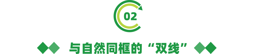 倒计时！地铁2号线三期、8号线一期开通在即，一起去盐田观光吗？(图7)