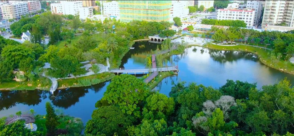 汕尾市舉辦創建國家森林城市建設美麗汕尾主題徵文比賽活動