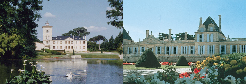 水果无糖有哪些_无糖水果排行榜前十名_排名第一无糖水果