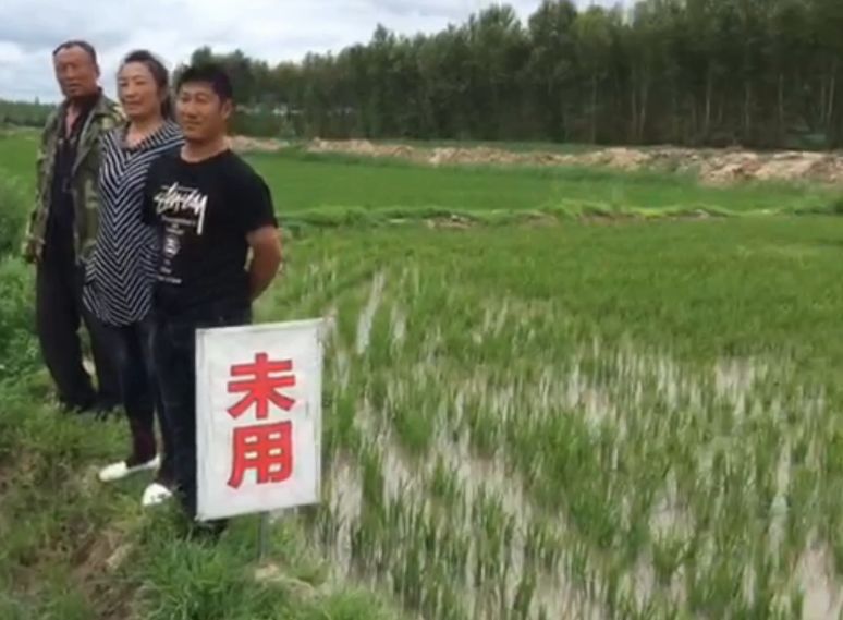 耕田乐”抗盐碱让种田人心服口服 耕田乐”抗盐碱让种田人心服口服