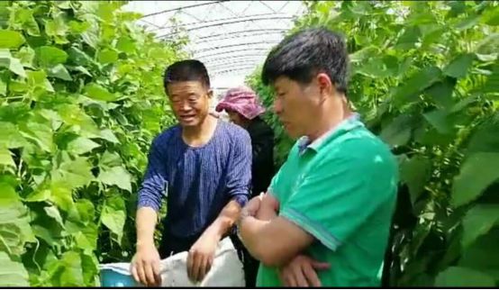 都是“耕田乐”惹的“祸” 都是“耕田乐”惹的“祸”