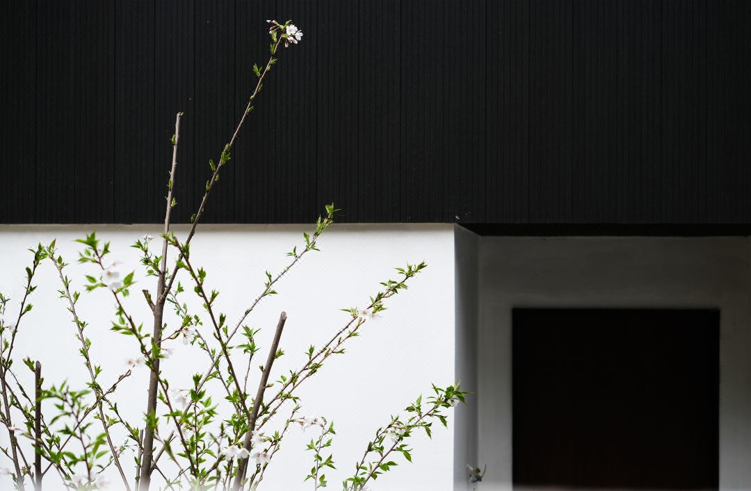 中国人自己的“小普吉”！高铁1.5h直达，依山傍海，竹林温泉畅泡！