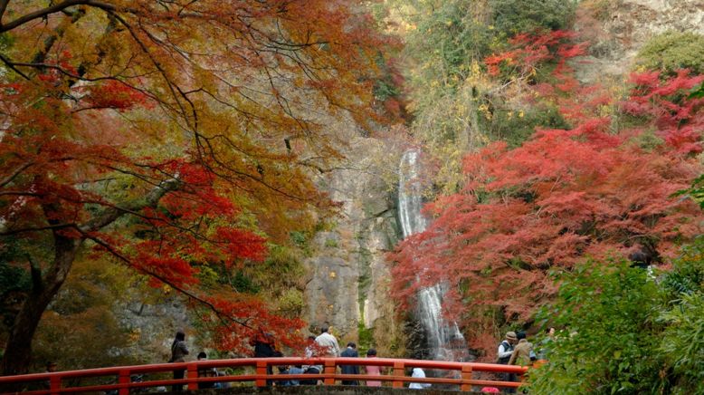 Liko酱带你玩日本 18追枫特辑 大阪篇 Liko酱之屋 微信公众号文章阅读 Wemp