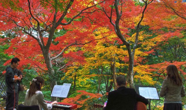 Liko酱带你玩日本 18追枫特辑 大阪篇 Liko酱之屋 微信公众号文章阅读 Wemp