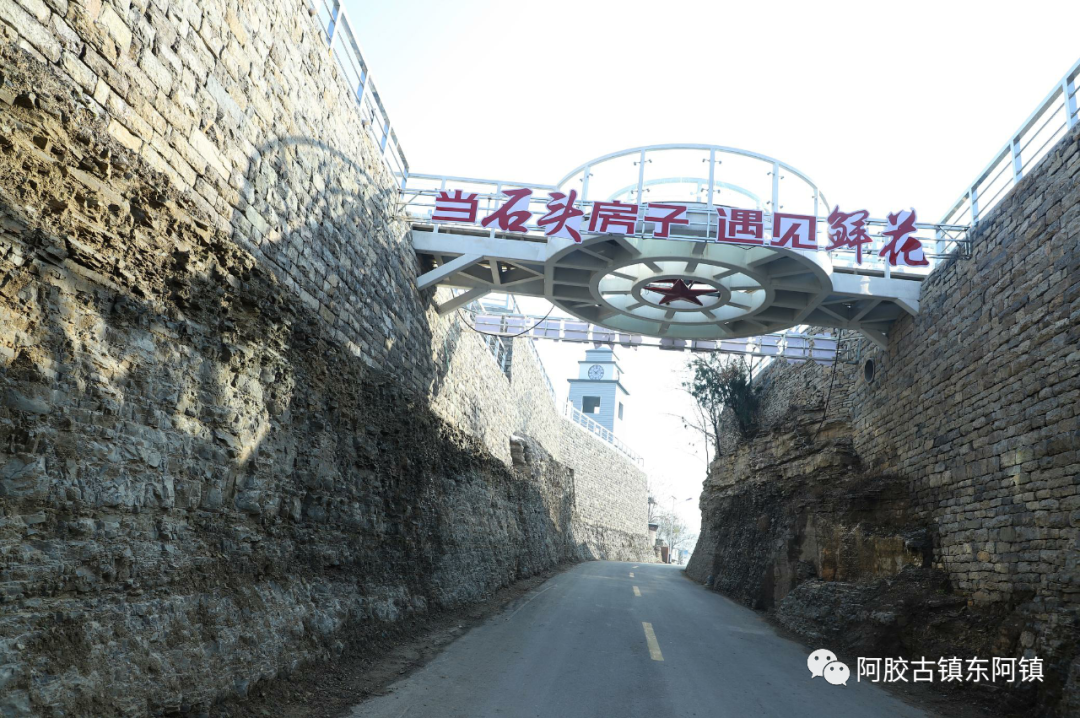 黄河岸边的旅游特色村——北市村