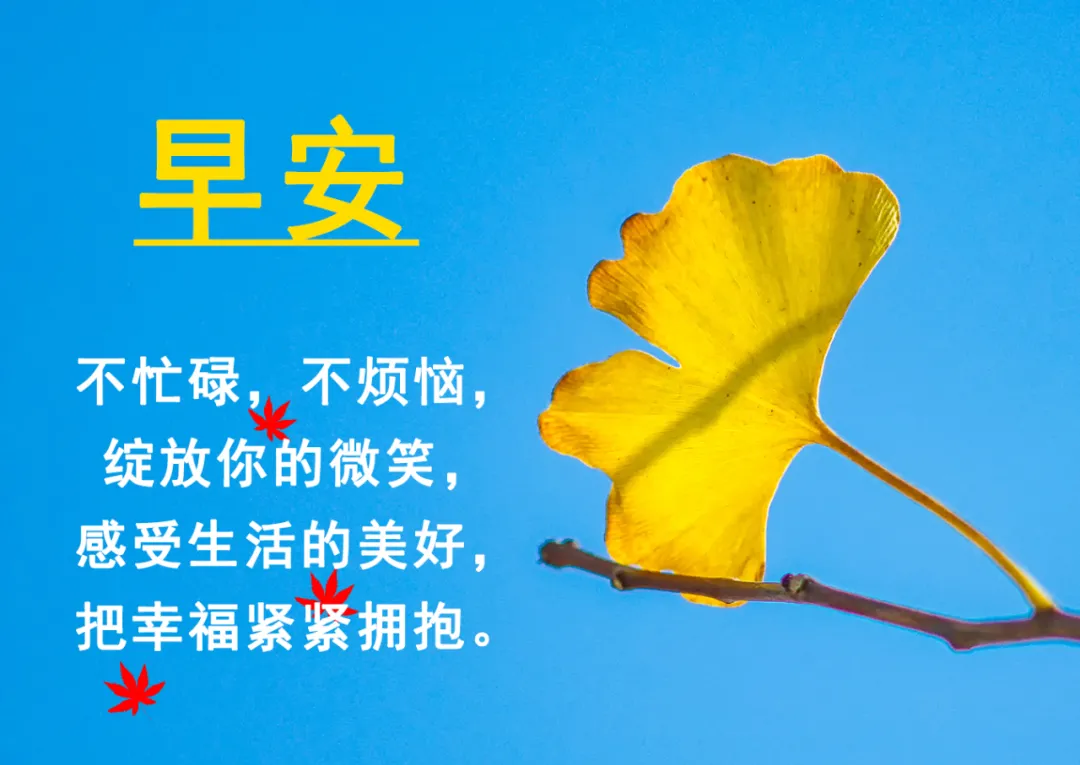 早安最美一句话『早安最美一句话 图片』