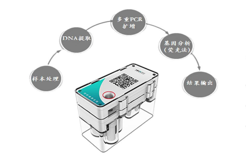 微流控检测芯片盒 拷贝.jpg