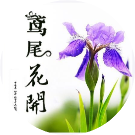 鸢尾花开