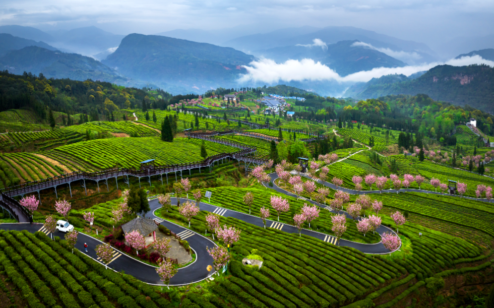 四川马边:来马边,别只知道吃抄手!