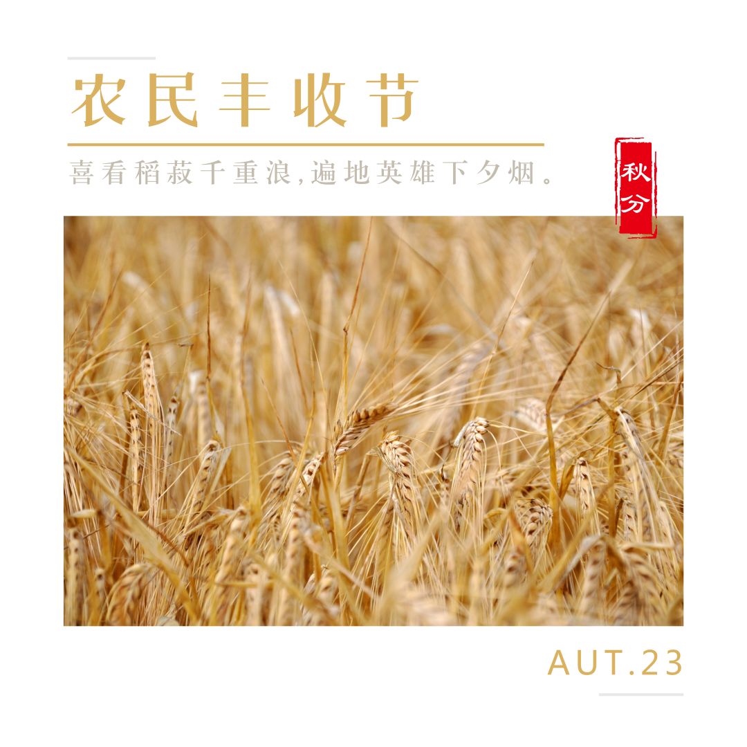 农民丰收节放假吗_农民丰收节作文800字_中国农民丰收节是哪一个节气