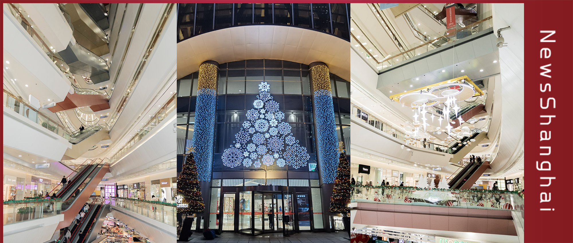 酷寒将至，魔都惊现万物新生大事件！