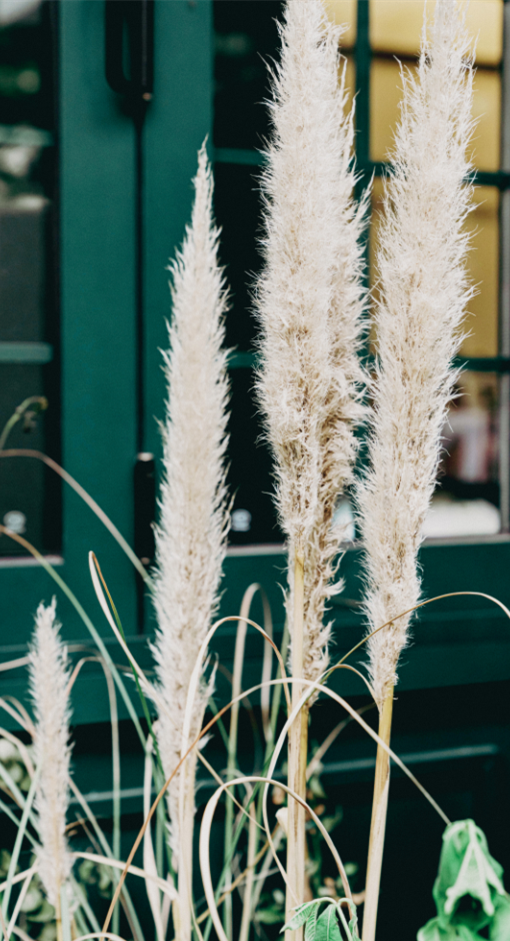 ��ʲô���й������������ȣ���