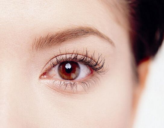 补充小分子肽对提高视网膜和视神经的健康作用。