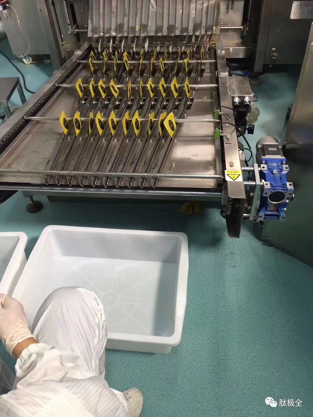 4个血型哪个血型最贵_血型贵族血_血型贵排名