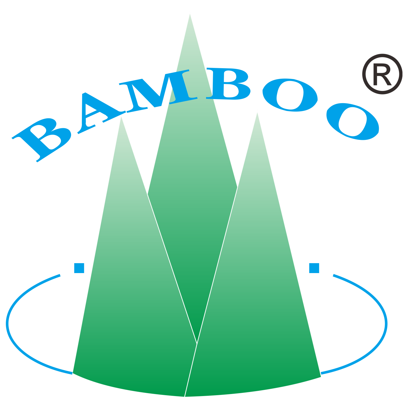  郑州贝博电子股份有限公司