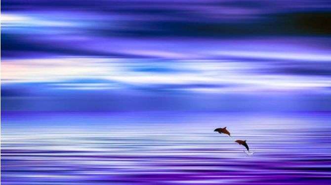 640?wx_fmt=png&tp=webp&wxfrom=5&wx_lazy=1&wx_co=1