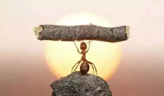 640?wx_fmt=png&tp=webp&wxfrom=5&wx_lazy=1&wx_co=1