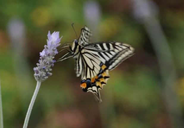 640?wx_fmt=png&tp=webp&wxfrom=5&wx_lazy=1&wx_co=1