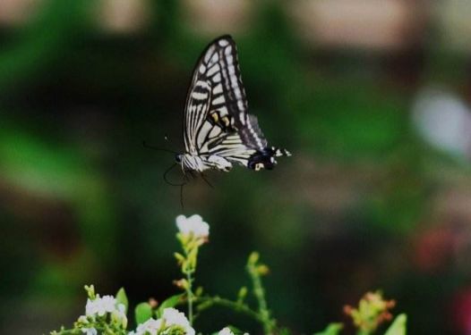 640?wx_fmt=png&tp=webp&wxfrom=5&wx_lazy=1&wx_co=1