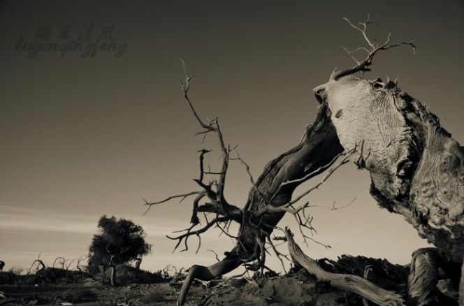 640?wx_fmt=jpeg&tp=webp&wxfrom=5&wx_lazy=1&wx_co=1