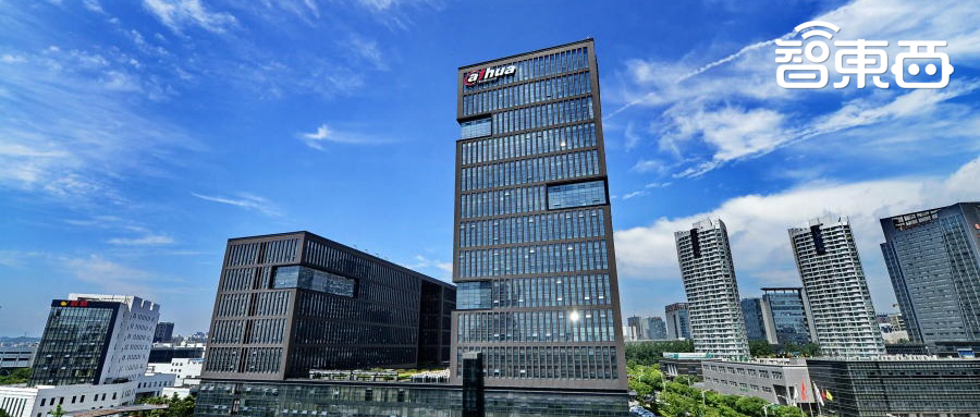 磨尖技术之“矛”，用技术内功突围智慧物联市场，对话大华股份高级副总裁