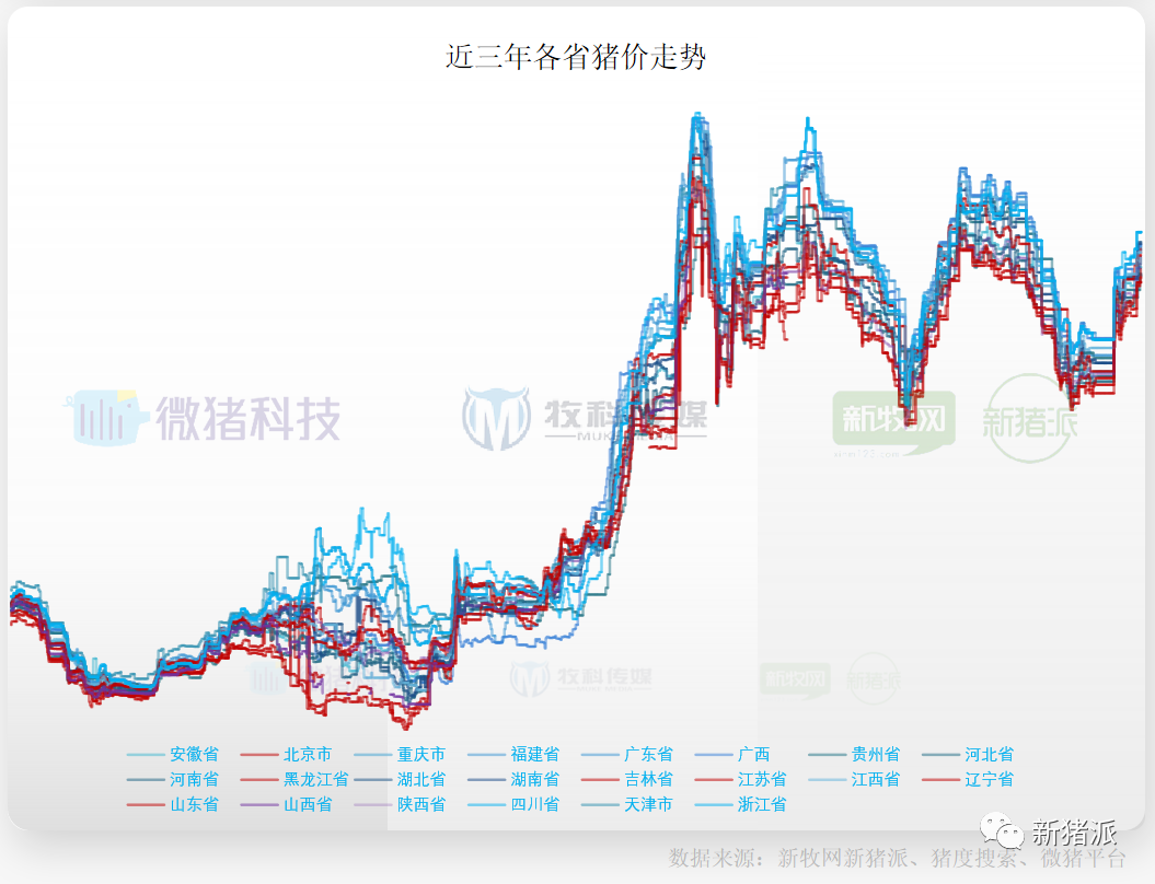 重磅！2020中国猪业数据报告正式发布