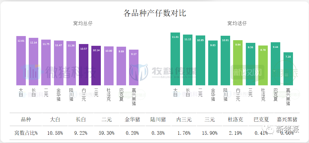 重磅！2020中国猪业数据报告正式发布