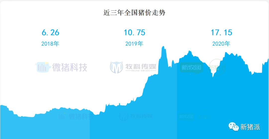 重磅！2020中国猪业数据报告正式发布
