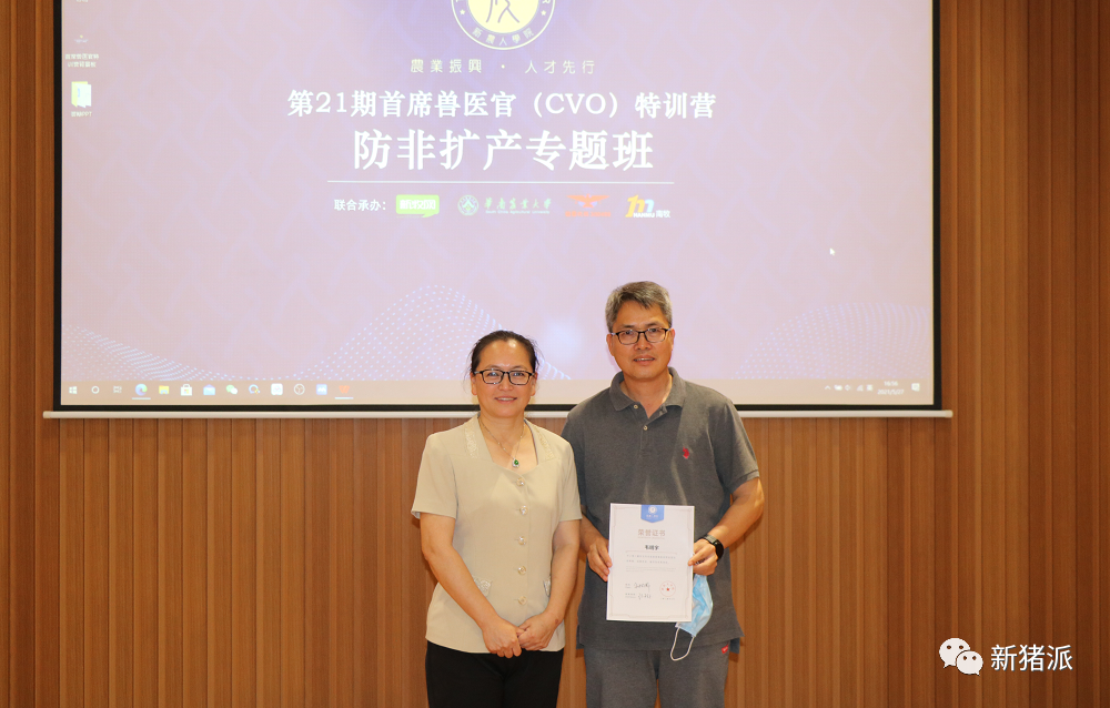 注意！非瘟弱毒株太狡猾，早期难以在猪群中发现，建议加强环境监测