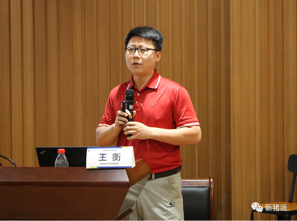 注意！非瘟弱毒株太狡猾，早期难以在猪群中发现，建议加强环境监测