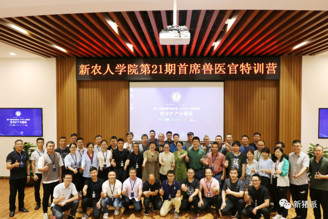 注意！非瘟弱毒株太狡猾，早期难以在猪群中发现，建议加强环境监测