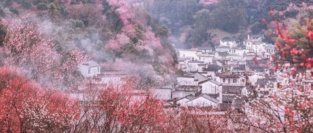 五一最适合去小住两天的古村，告别人人人人，迎接0压力的慢生活!