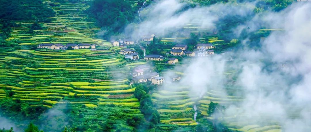 这个22℃的小县城即将刷屏朋友圈！又美又好吃的森林氧吧，夏天巨爽！