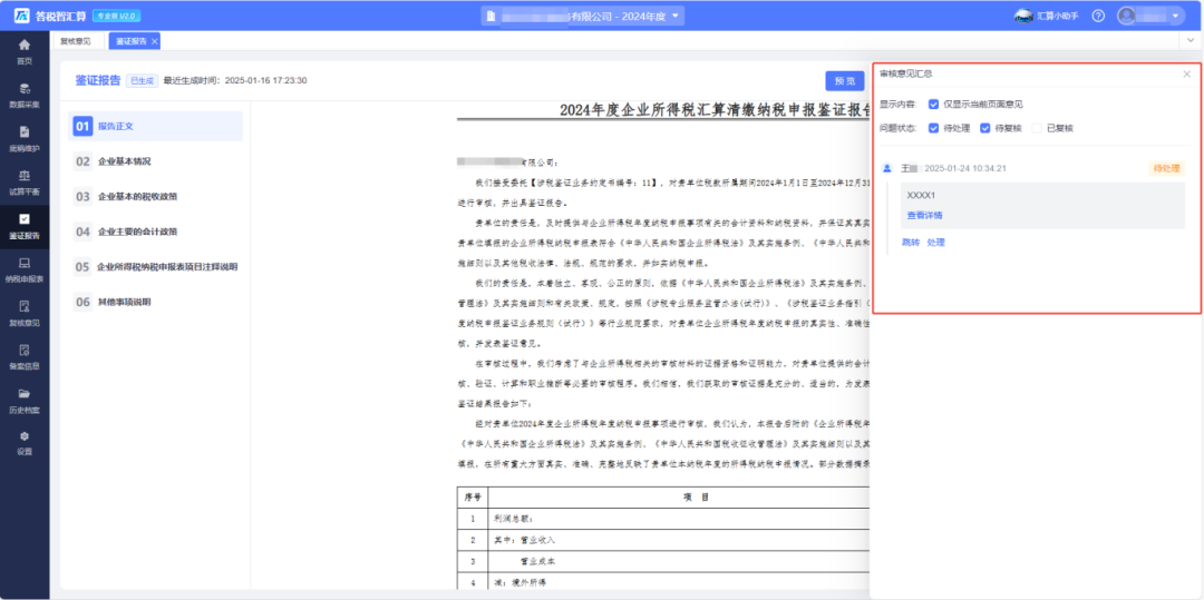 审核意见汇总.png