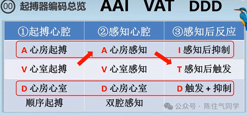 心电图器怎么用起搏器入门，简单易懂！_https://www.jmylbn.com_新闻资讯_第27张