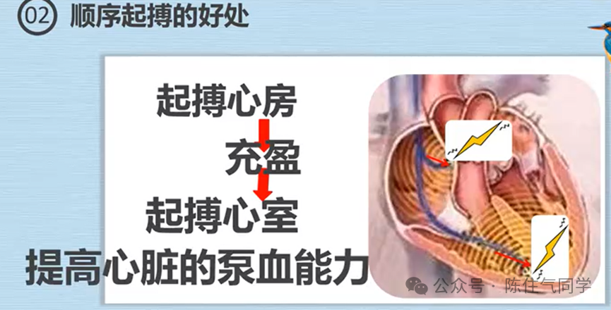 心电图器怎么用起搏器入门，简单易懂！_https://www.jmylbn.com_新闻资讯_第18张