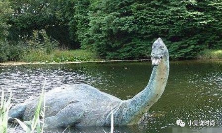 世间神秘生物图片_世界神秘生物_世间神秘生物