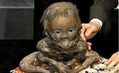 世界神秘生物_世间神秘生物_世间神秘生物图片