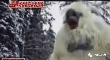 世间神秘生物图片_世界神秘生物_世间神秘生物