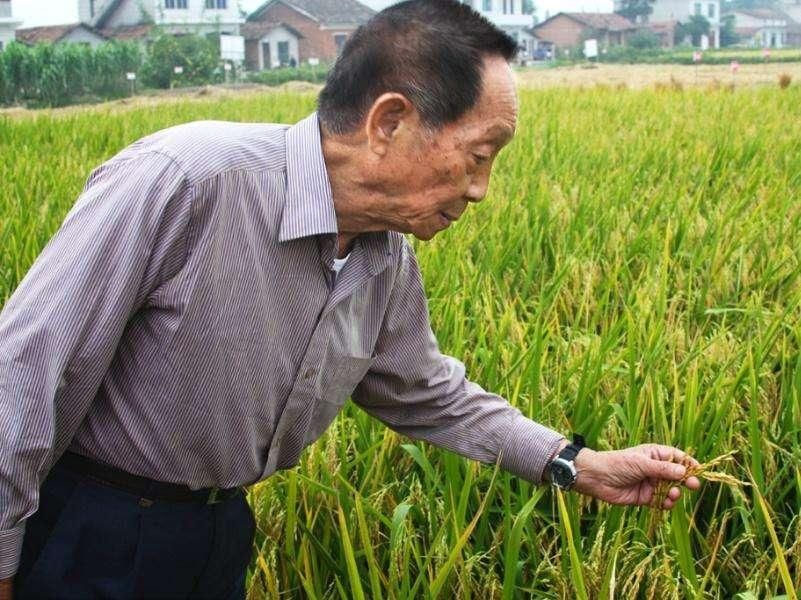 范冰冰高調復出，崔永元消聲匿跡...... 娛樂 第25張