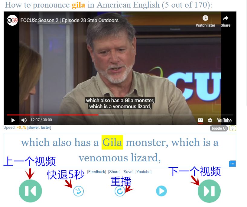 网页有道词典2.0_有道词典网页版_有道词典网页