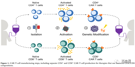 嵌合抗原受体t细胞过程中的生物材料 药启程 微信公众号文章阅读 Wemp