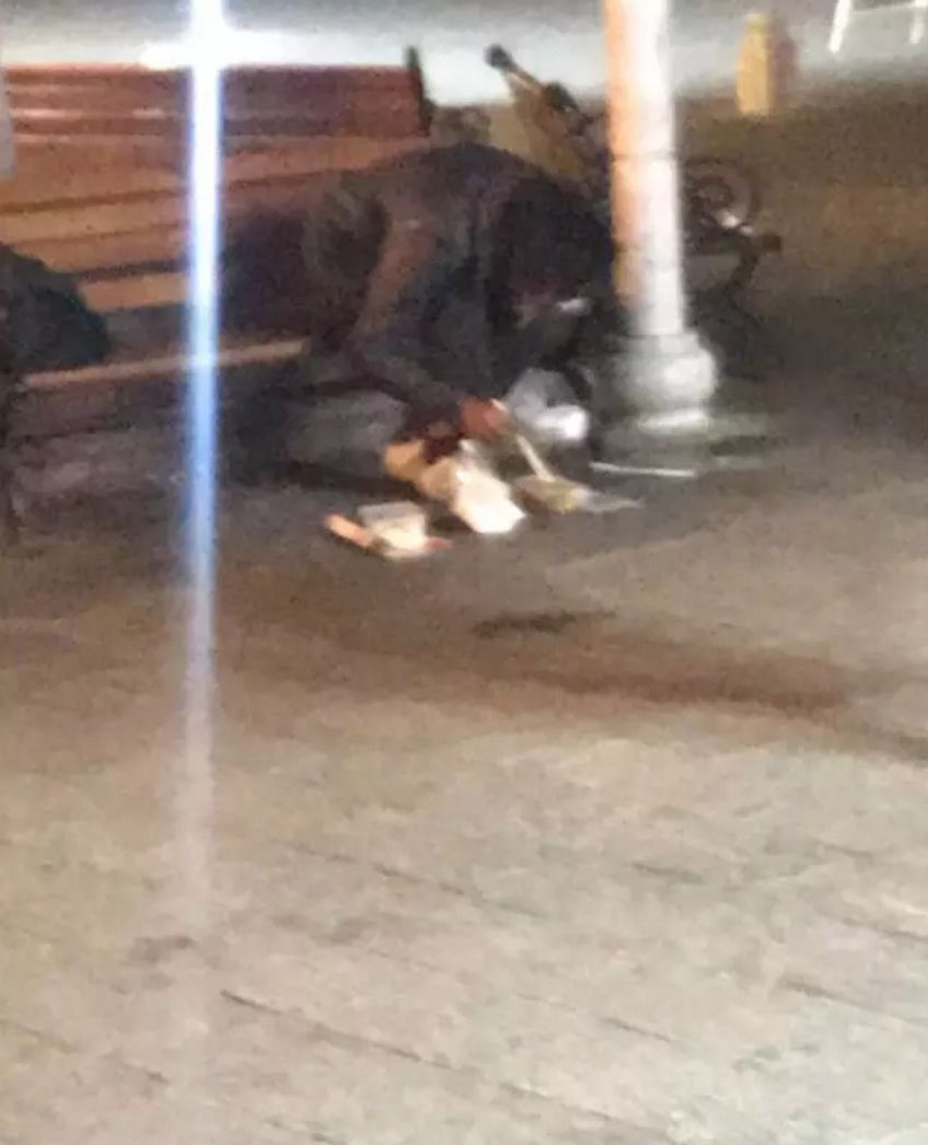 23张人性与爱的图片，看到第一张就受不了！（组图） - 14