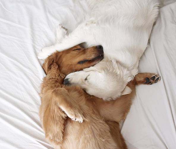 有人陪着真好啊_最新动态_银川悦·时光摄影机构