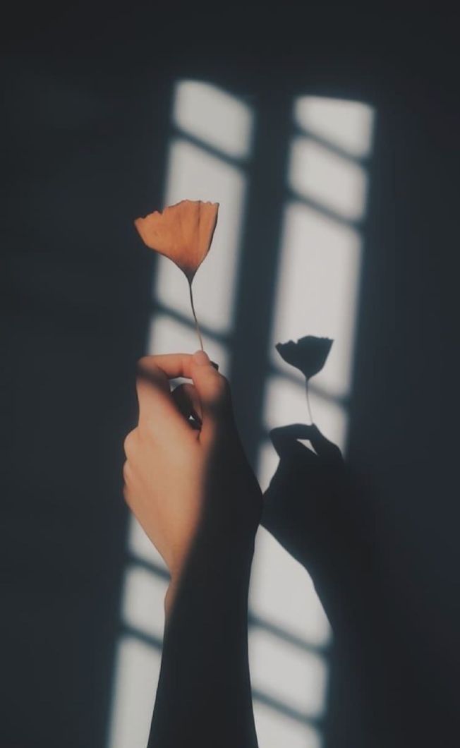 恋爱的最终目的