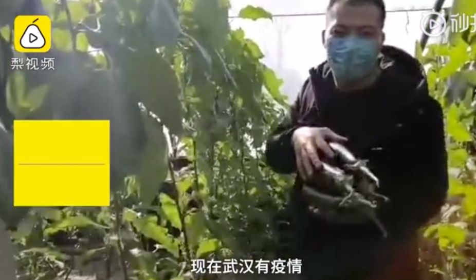 东北又被点名了！不是批评，而是全网点名表扬（组图） - 33