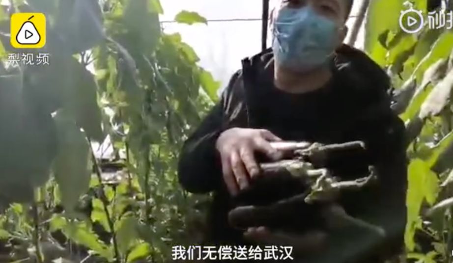 东北又被点名了！不是批评，而是全网点名表扬（组图） - 34