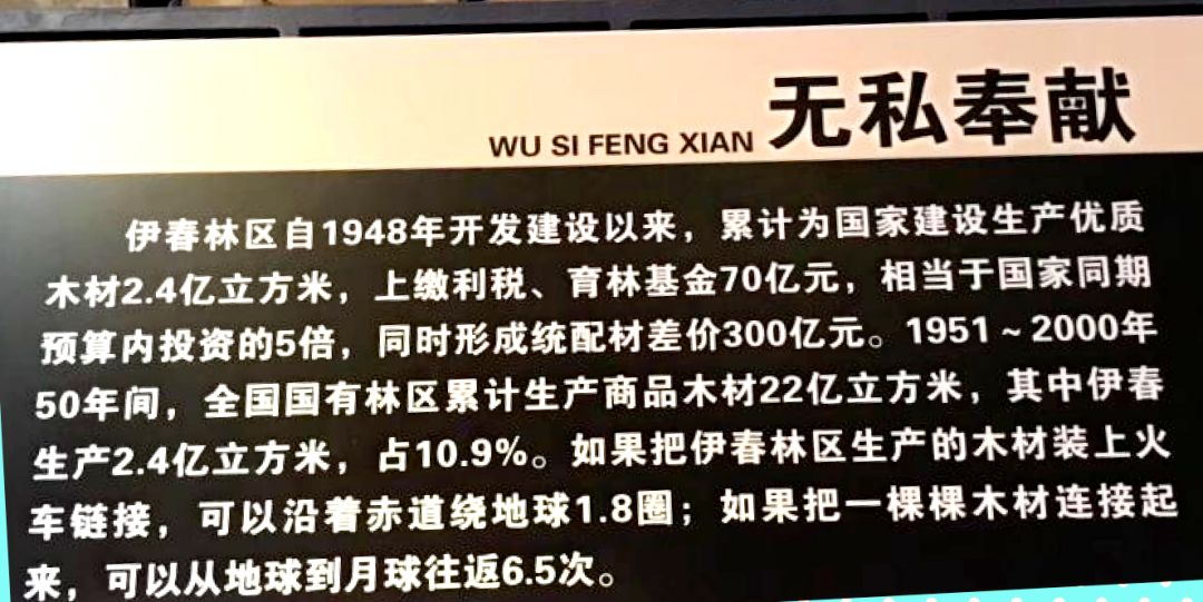 东北又被点名了！不是批评，而是全网点名表扬（组图） - 16