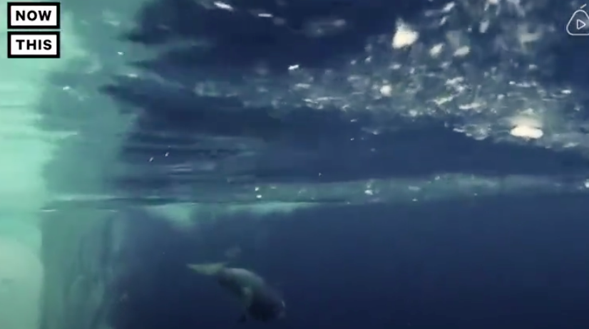 ���ڶ���˹������Ű������Щ�ꡭ��